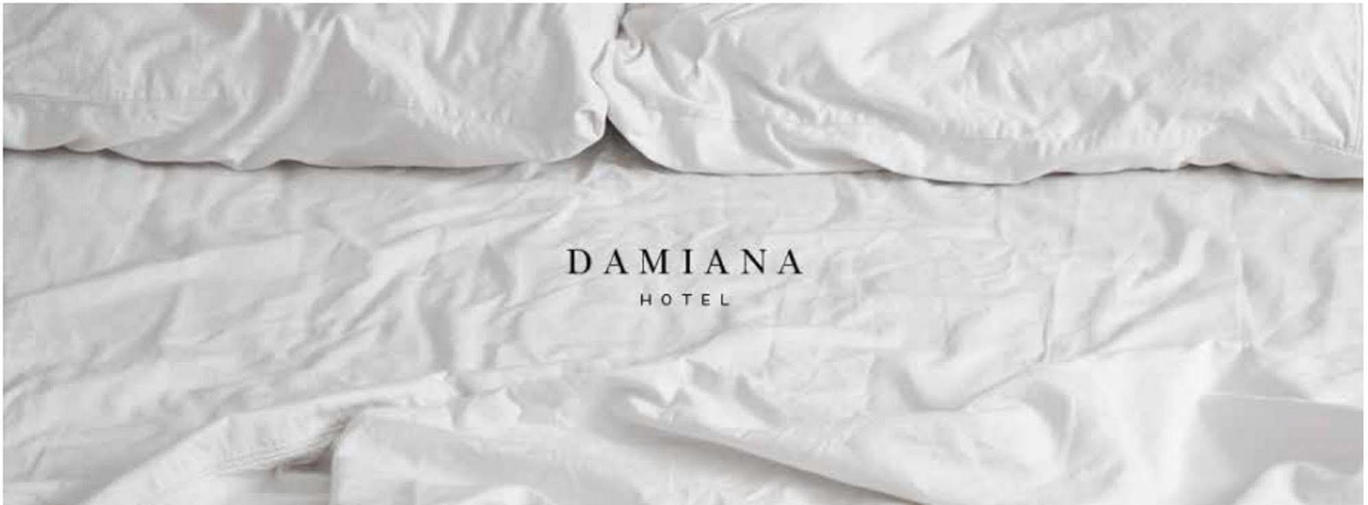 Hotel Damiana Boutique Querétaro Eksteriør bilde